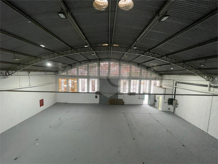 Foto REO1120839