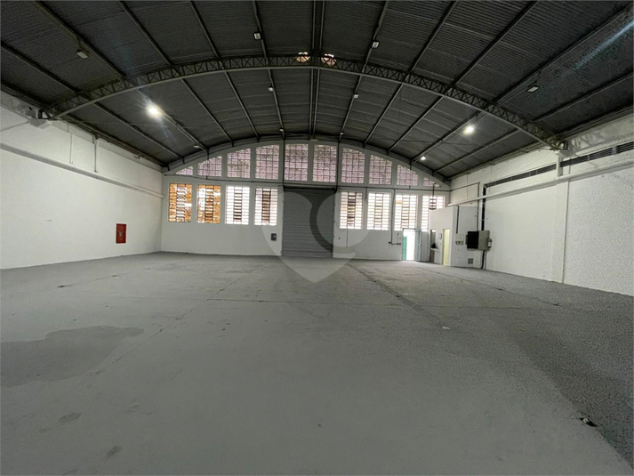 Foto REO1120839