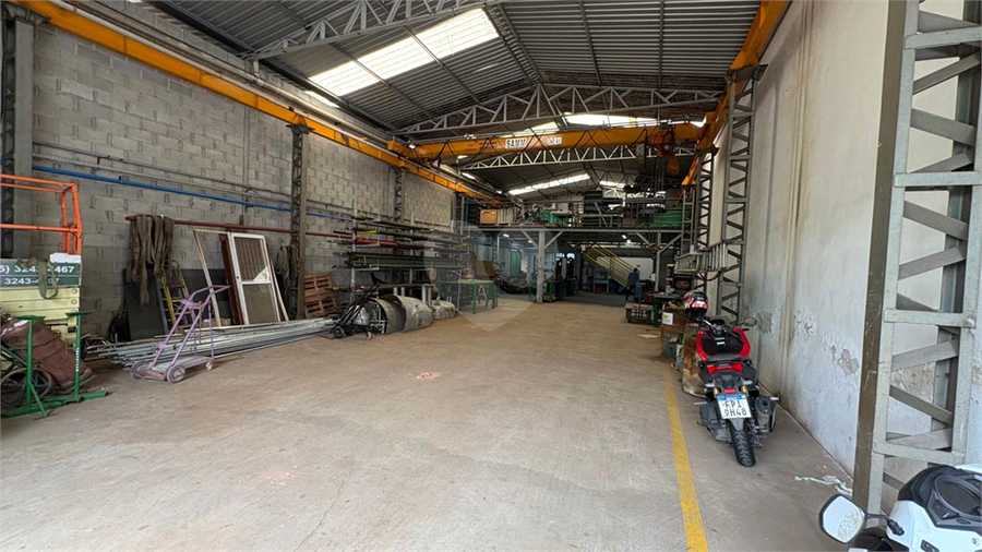 Foto REO1120853