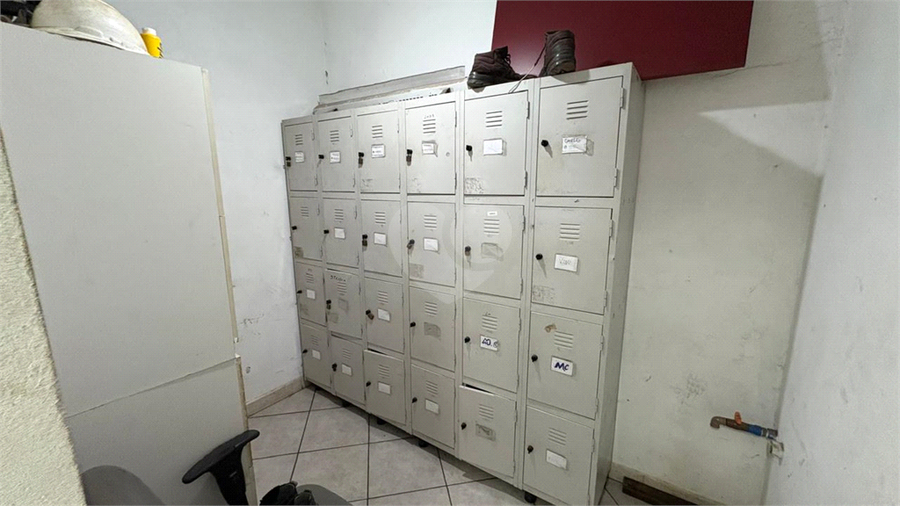 Foto REO1120853
