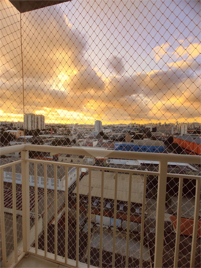 Foto REO1120860