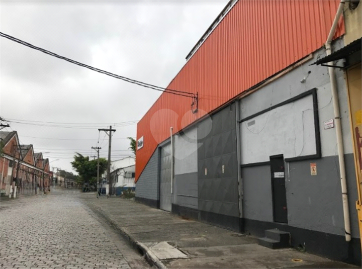 Foto REO1120871