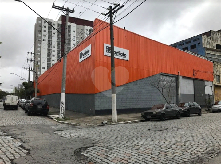 Foto REO1120871