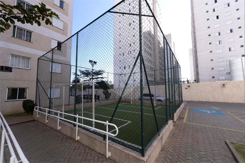 Foto REO1120876