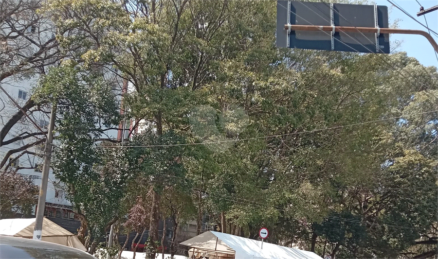 Foto REO1120879