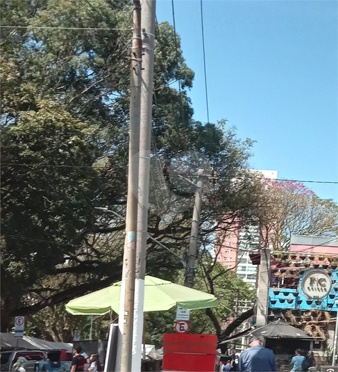 Foto REO1120879