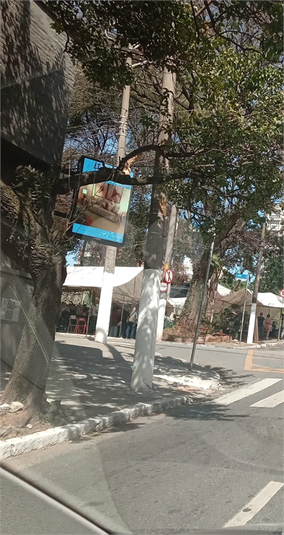 Foto REO1120879