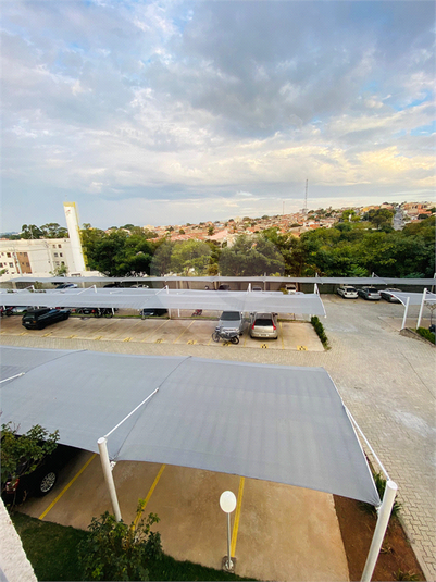 Foto REO1120883