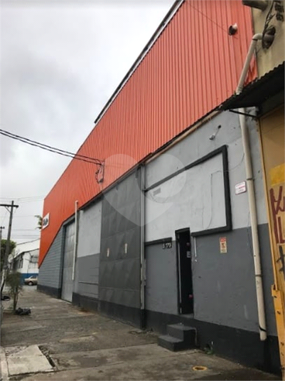 Foto REO1120885