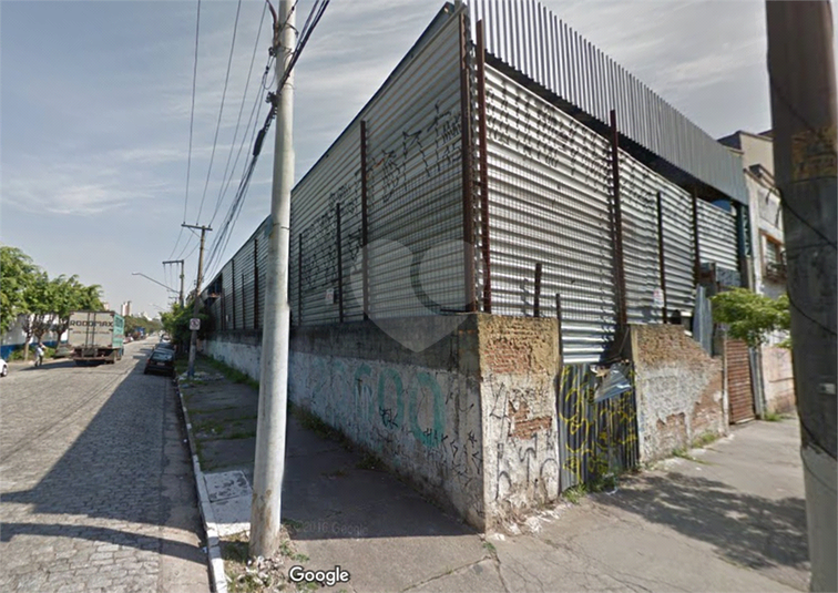 Foto REO1120885