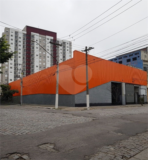 Foto REO1120885