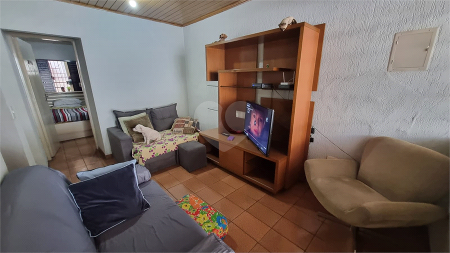 Foto REO1120896