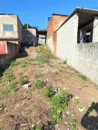 Foto REO1120902