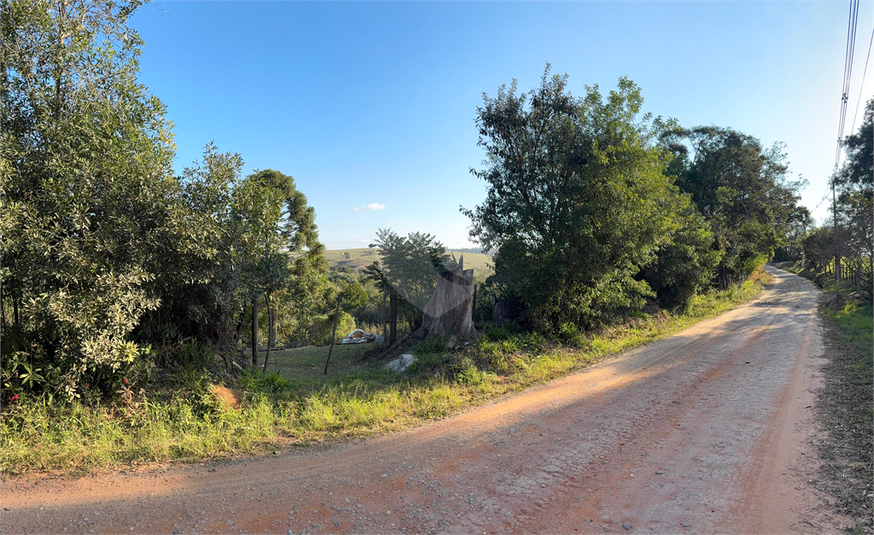 Foto REO1120919