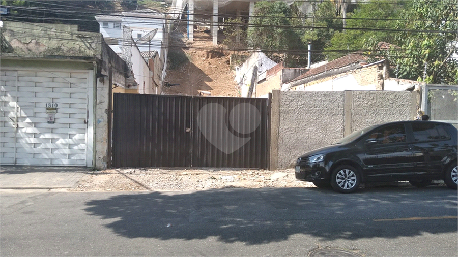 Foto REO1120936