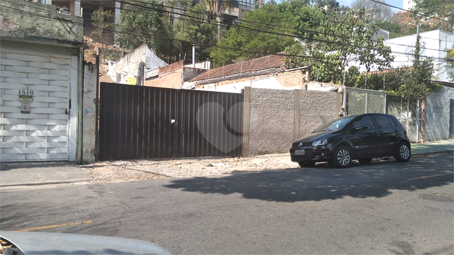 Foto REO1120936