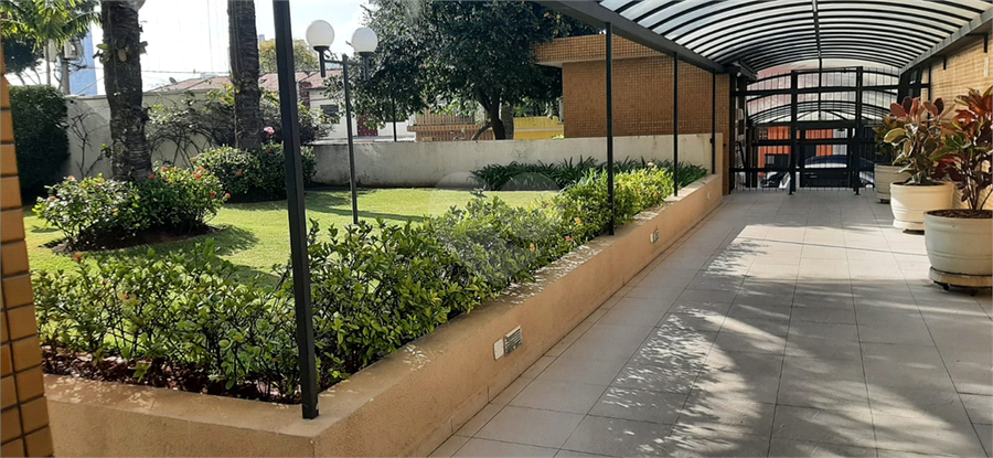 Foto REO1120952