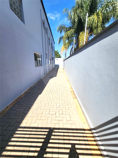 Foto REO1120958