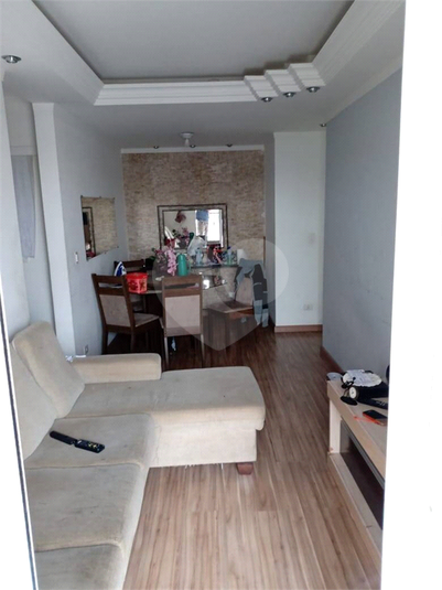 Foto REO1120965
