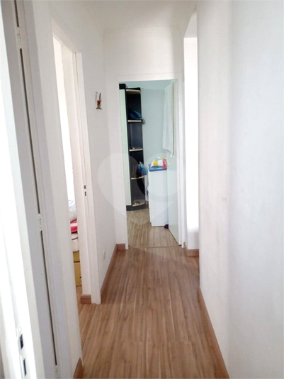 Foto REO1120965