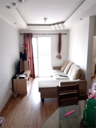 Foto REO1120965