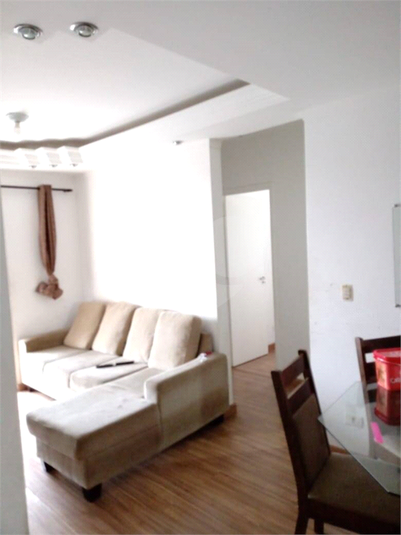 Foto REO1120965