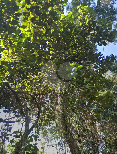 Foto REO1120968