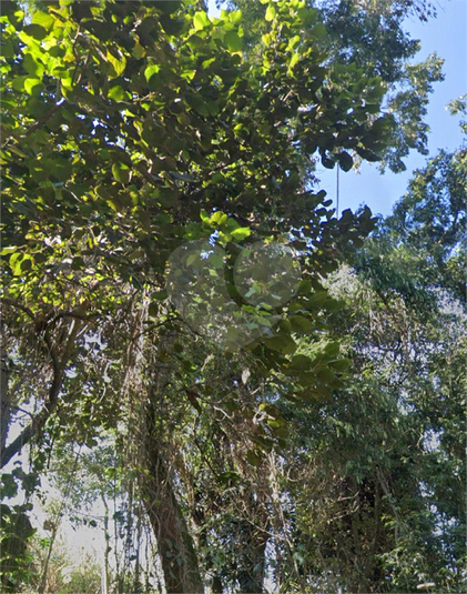Foto REO1120968