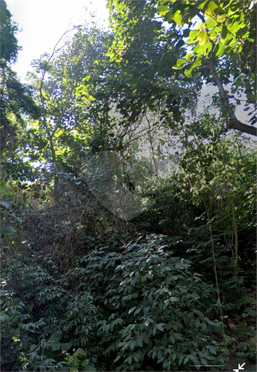 Foto REO1120968