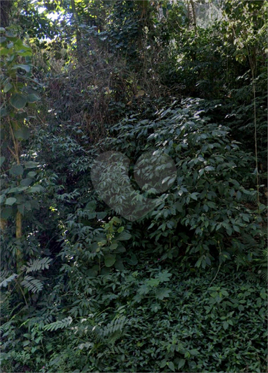 Foto REO1120968