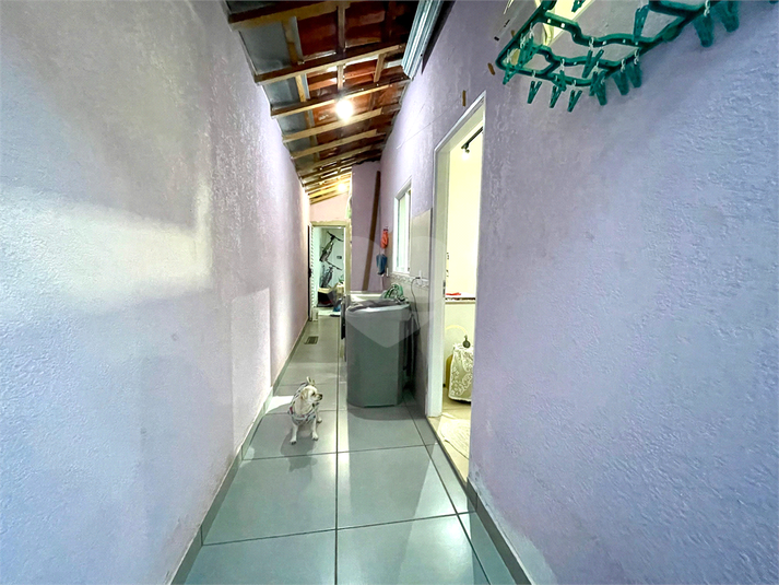 Foto REO1120969
