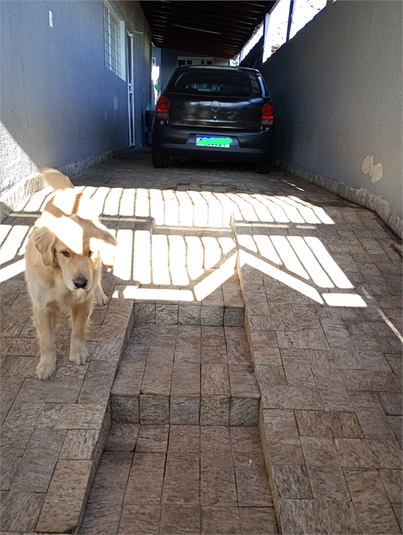 Foto REO1120972