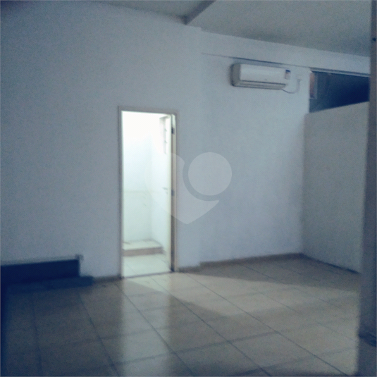 Foto REO1120973