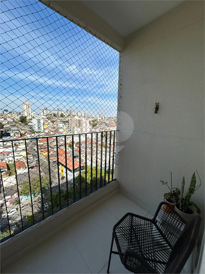Foto REO1120976