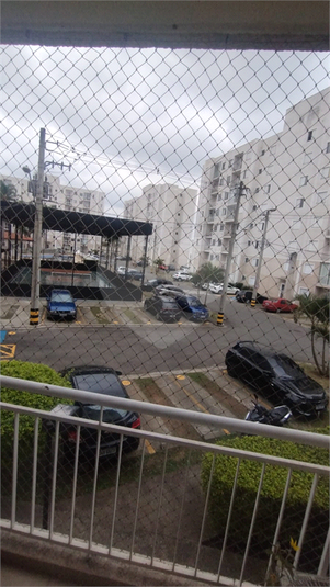 Foto REO1120977