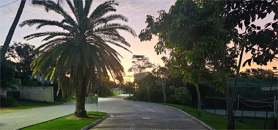 Foto REO1120994