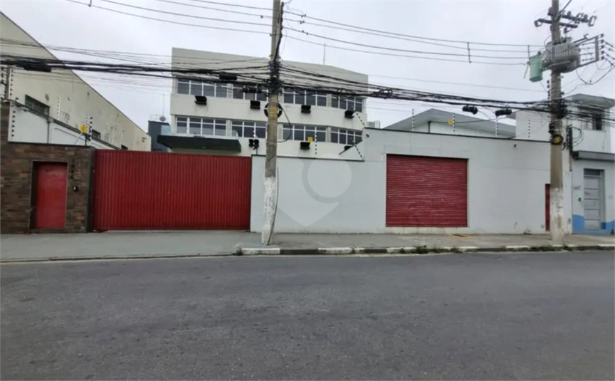 Foto REO1121046