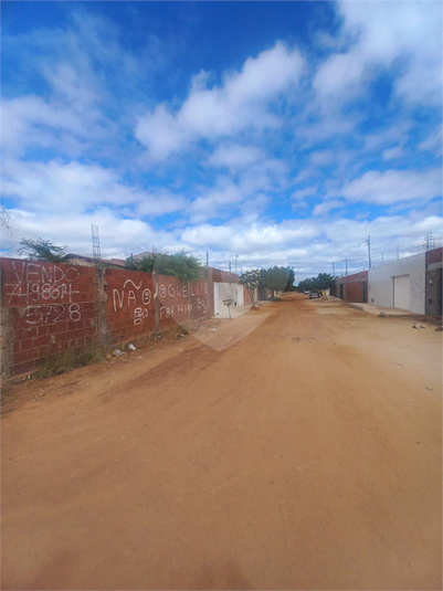 Foto REO1121060