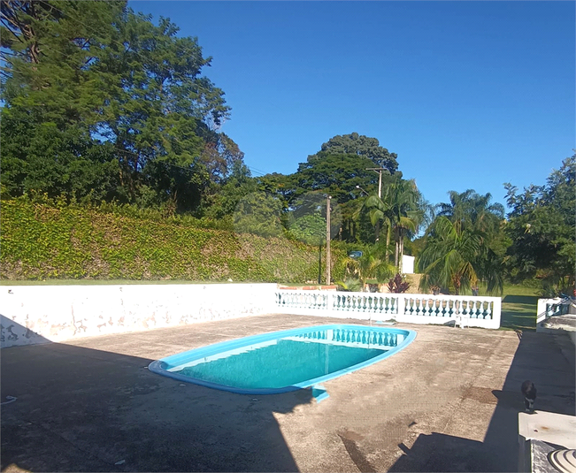 Foto REO1121064