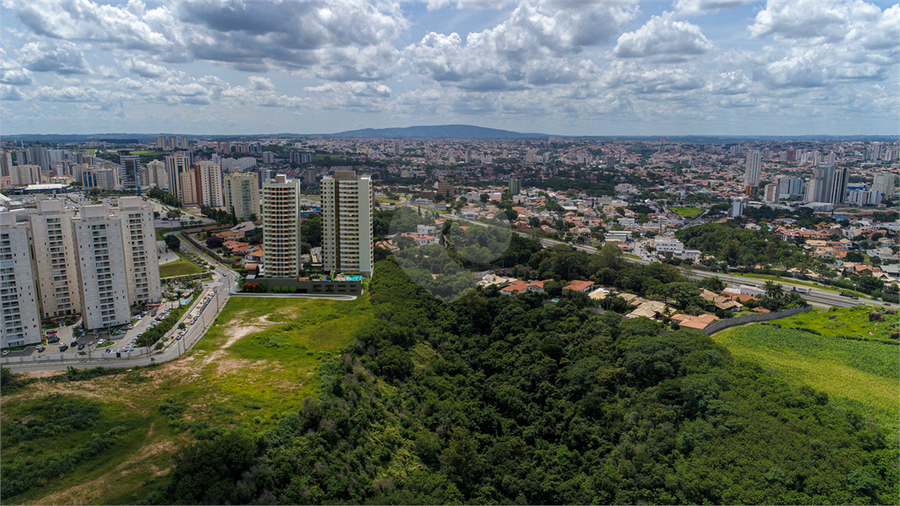 Foto REO1121068