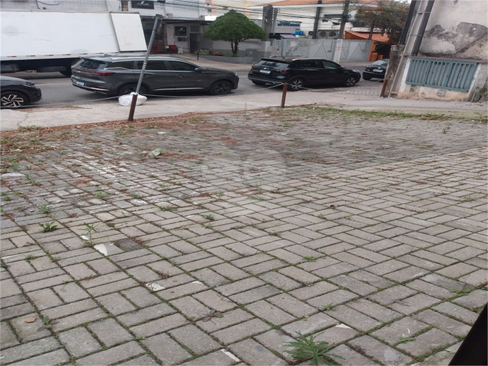 Foto REO1121143