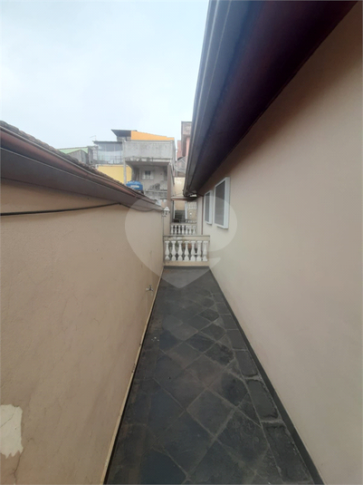 Foto REO1121147