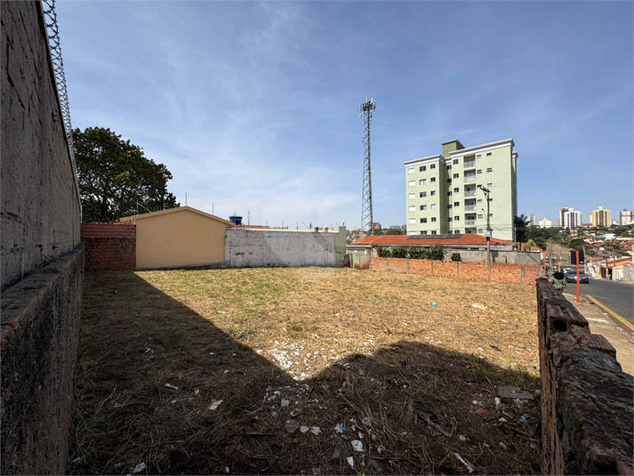 Foto REO1121167