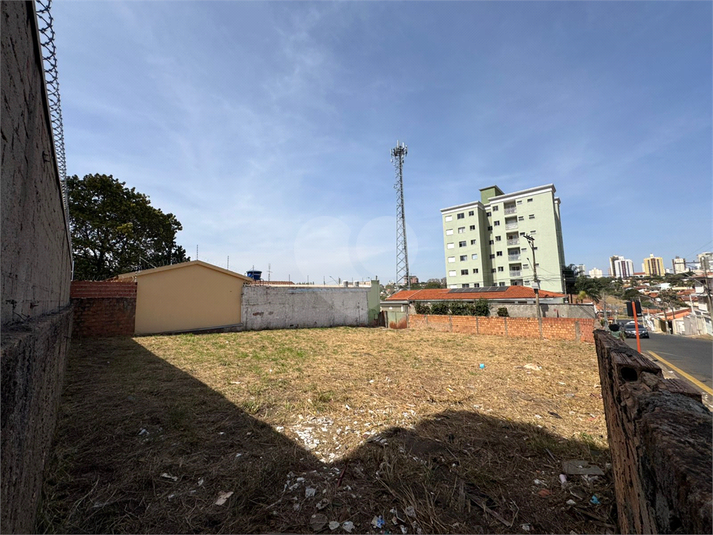 Foto REO1121167