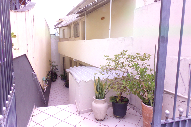 Foto REO1121168