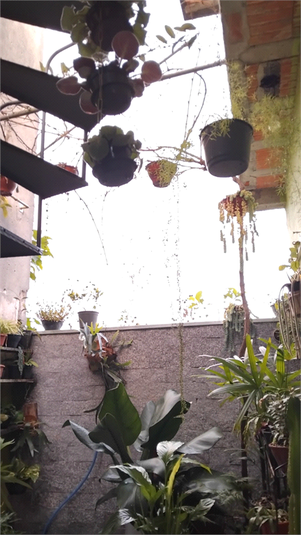 Foto REO1121176