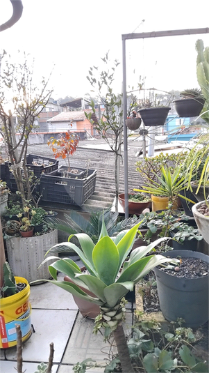 Foto REO1121176