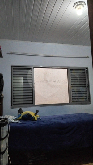 Foto REO1121176