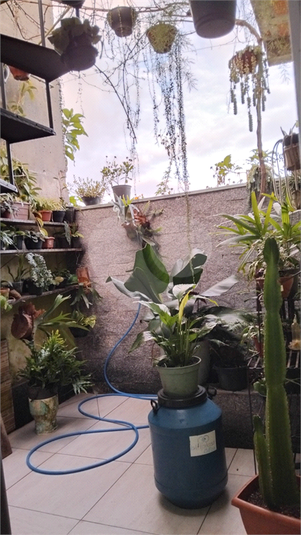 Foto REO1121176