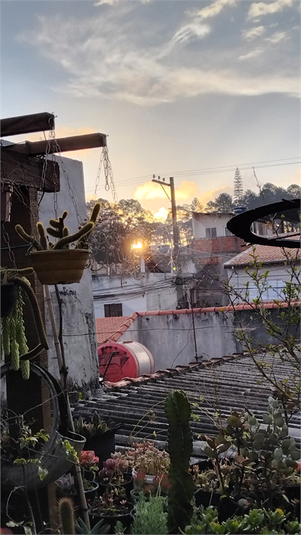 Foto REO1121176